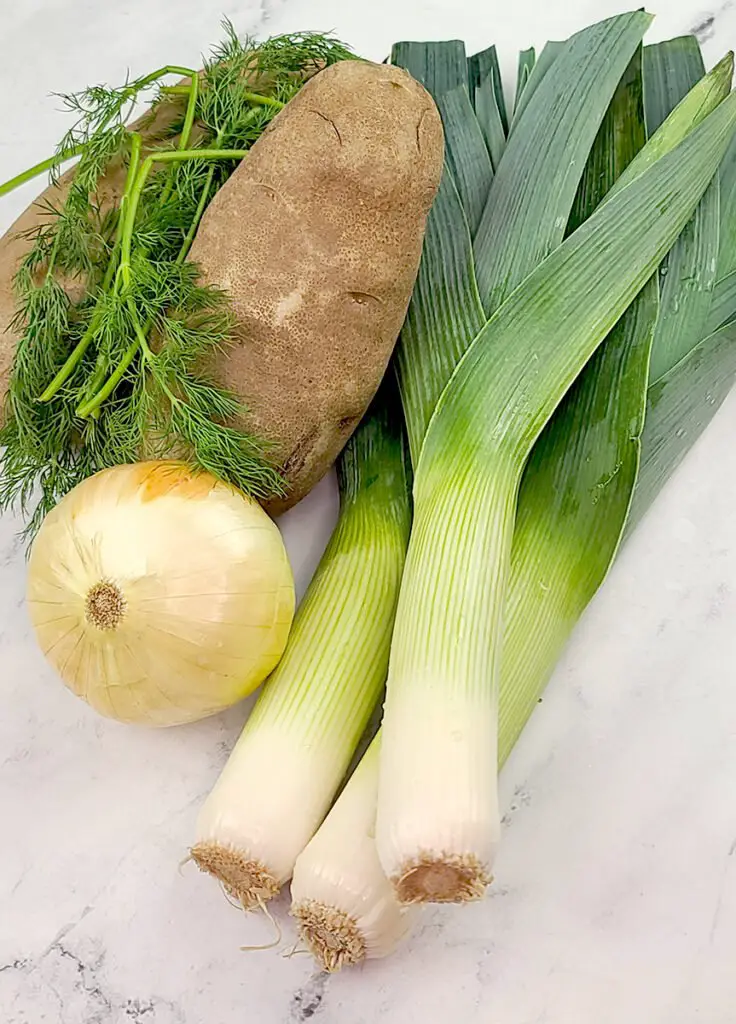 three leeks next to a yellow onion and two russet potatoes with fresh dill on top.  All on a white marble background.