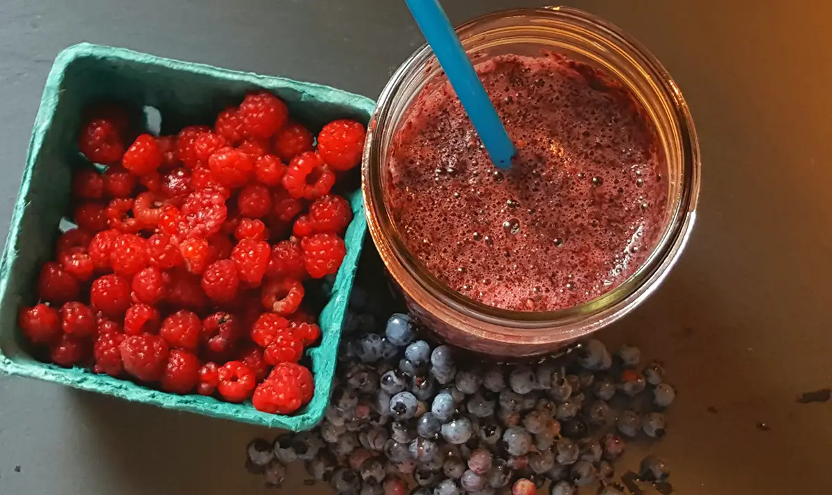 Maine Berry Smoothie:  How to Make A Smoothie