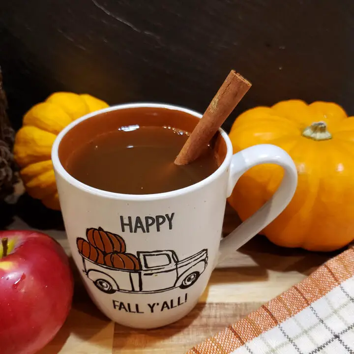 mug of mulled cider with cinnamon stick sticking out the top. Apple and small pumpkins in the background