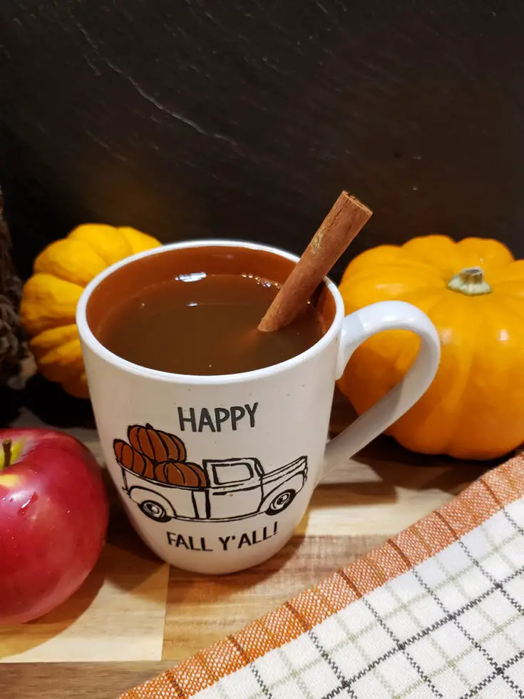 Mulled Apple Cider-Slow Cooker Style! - Mason Jars and Me