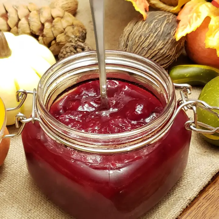 Jar of cranberry sauce with spoon sticking out. Fall goards, leaves and pinecones in the background.