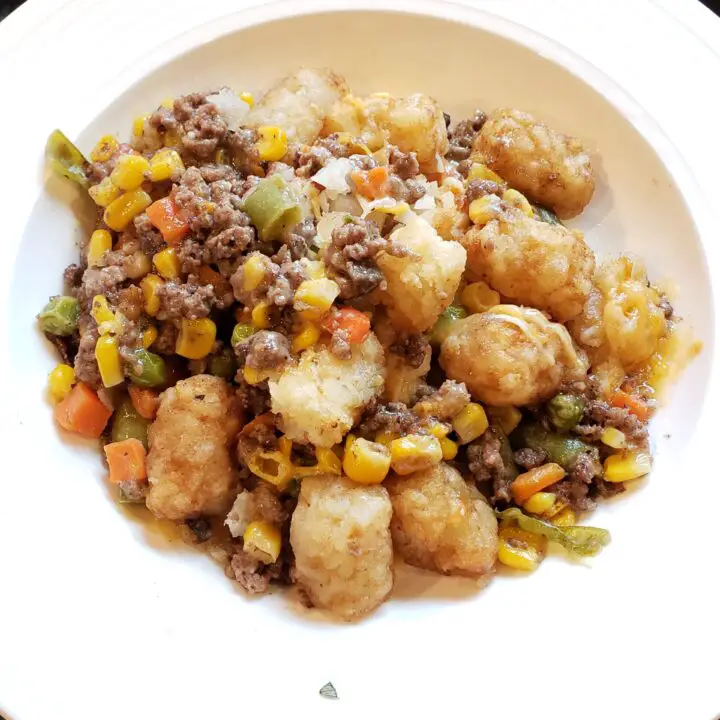 Bison Tater Tot Casserole with Mixed Vegetables in a White Bowl